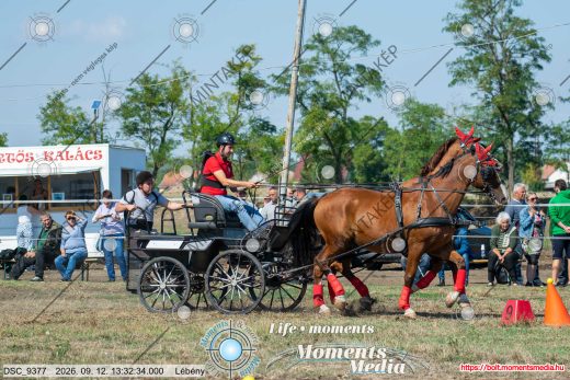 Mintakép 20260912-2399