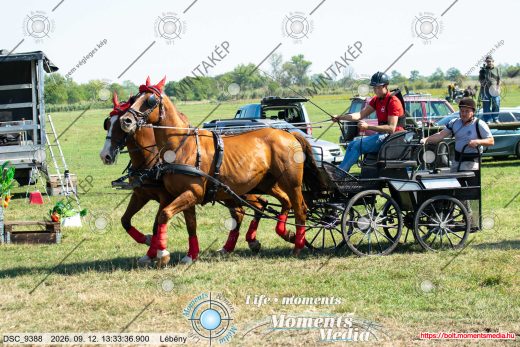 Mintakép 20260912-2402