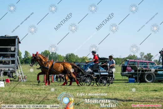 Mintakép 20260912-2405