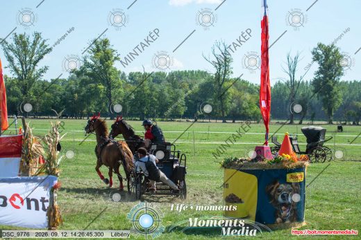 Mintakép 20260912-2424