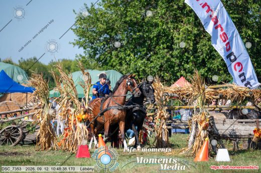 20260912-104838-DSC_7353.jpg