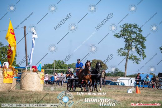 Mintakép 20260912-2442