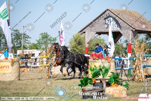 Mintakép 20260912-2479