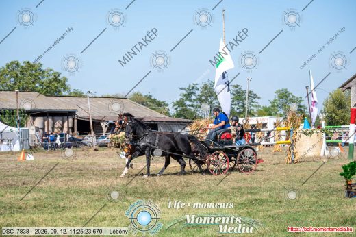 Mintakép 20260912-2481