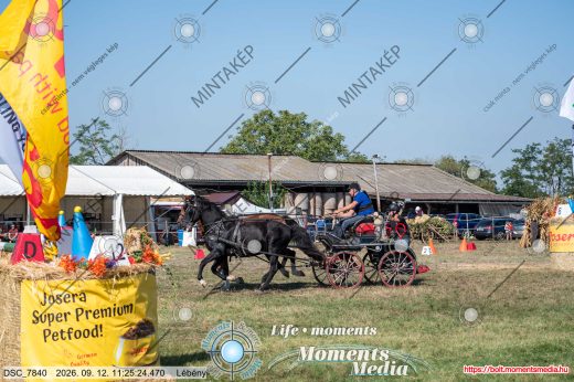 Mintakép 20260912-2482
