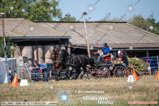 Mintakép 20260912-2484