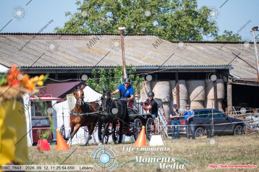 Mintakép 20260912-2485