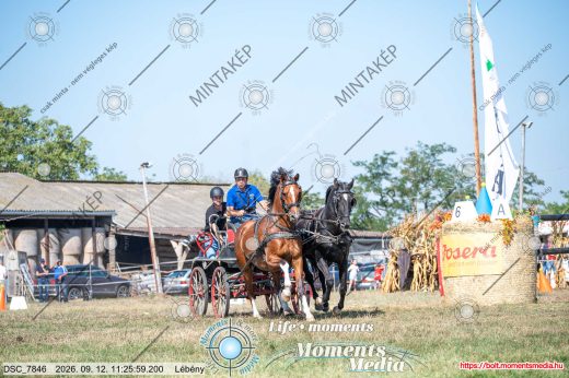Mintakép 20260912-2488