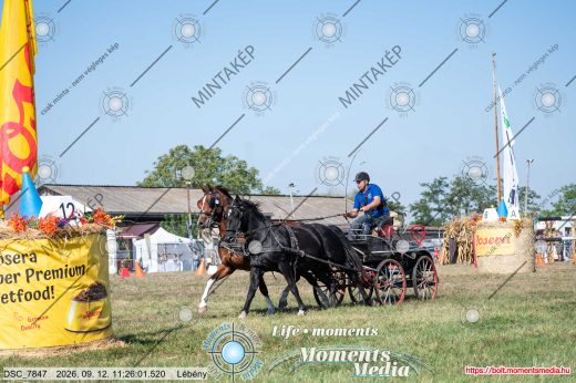 Mintakép 20260912-2489