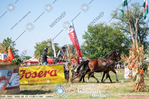 Mintakép 20260912-2497