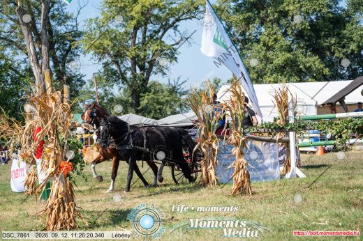 Mintakép 20260912-2501