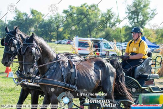 20260912-160334-DSC_0744.jpg