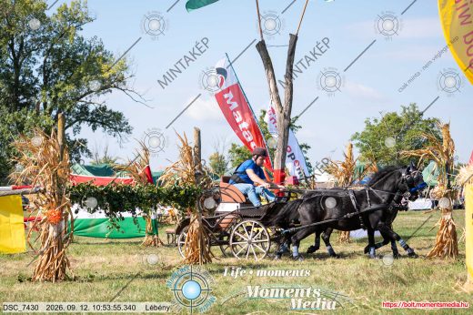Mintakép 20260912-2554