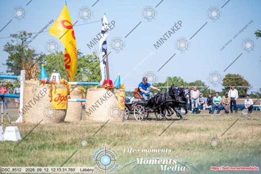 Mintakép 20260912-2573