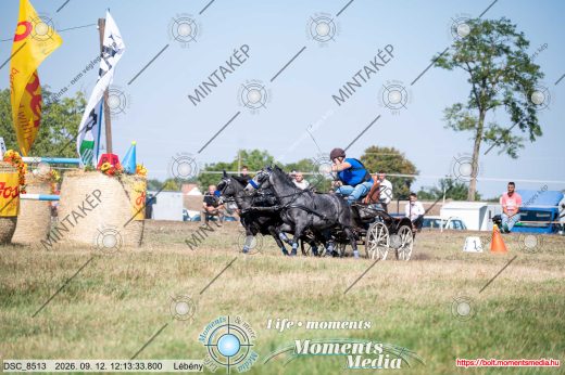 Mintakép 20260912-2574