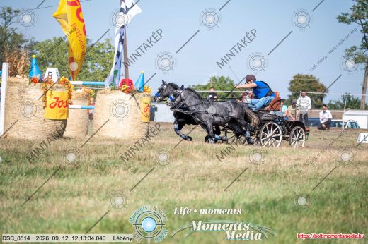 Mintakép 20260912-2575