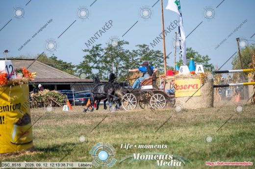 Mintakép 20260912-2577