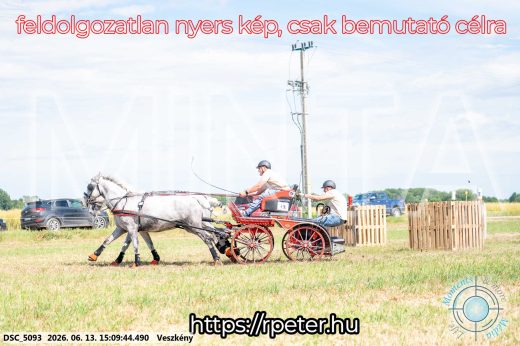 Mintakép 20260613-161