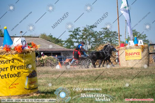 Mintakép 20260912-2578