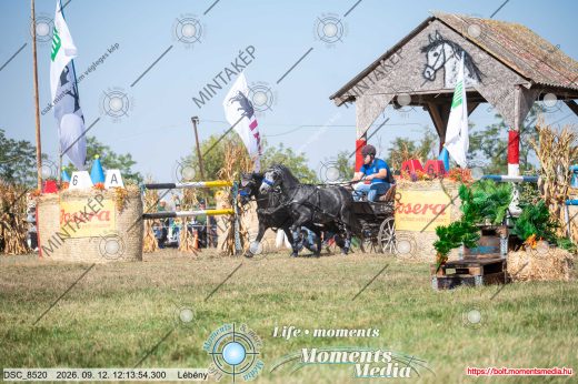 Mintakép 20260912-2579