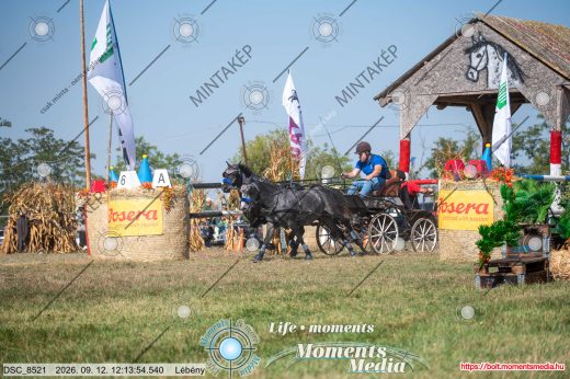 Mintakép 20260912-2580