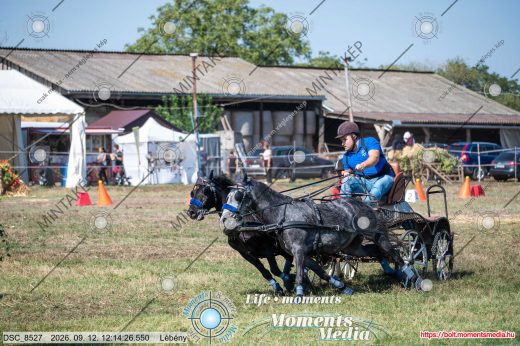 Mintakép 20260912-2585