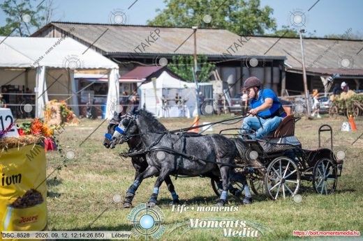 Mintakép 20260912-2586