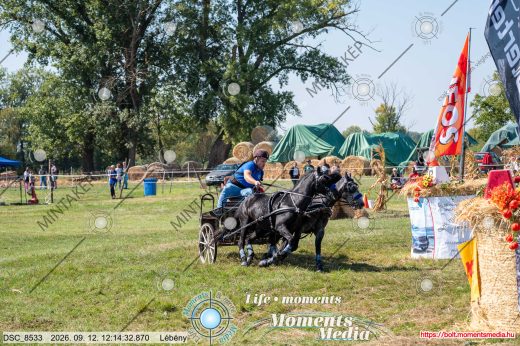 Mintakép 20260912-2588