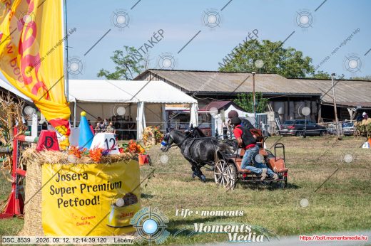 Mintakép 20260912-2590