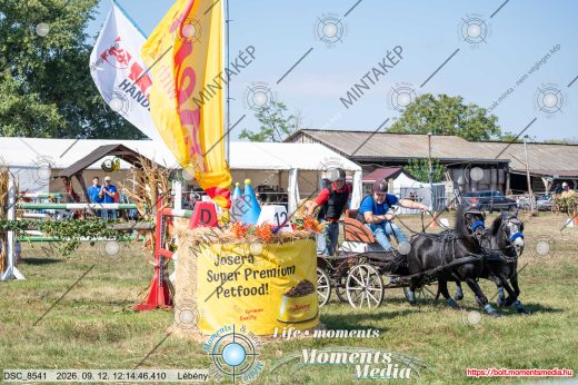 Mintakép 20260912-2592