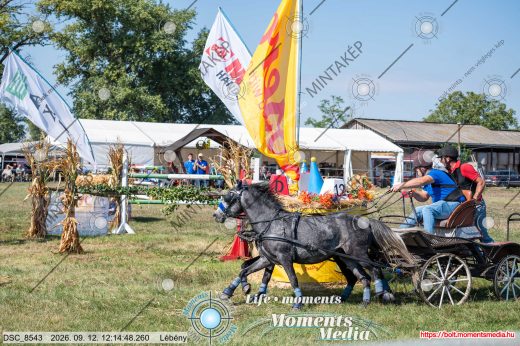 Mintakép 20260912-2594
