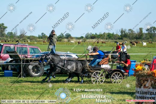 Mintakép 20260912-2623
