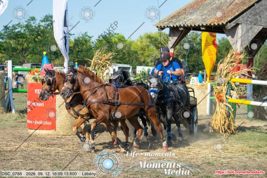 Mintakép 20260912-2632