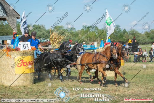 Mintakép 20260912-2635