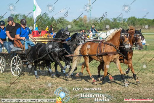 Mintakép 20260912-2637