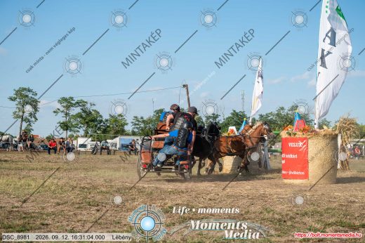 Mintakép 20260912-2658