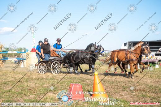 Mintakép 20260912-2661
