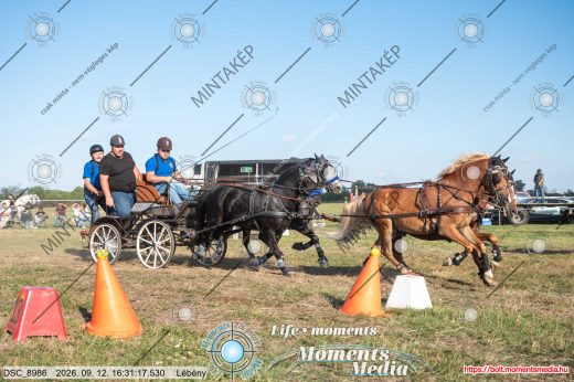 Mintakép 20260912-2662