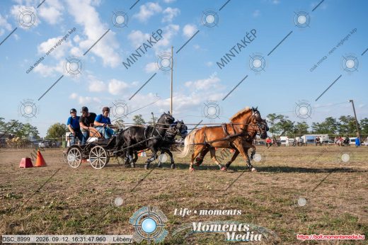 Mintakép 20260912-2666
