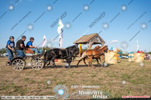 Mintakép 20260912-2667