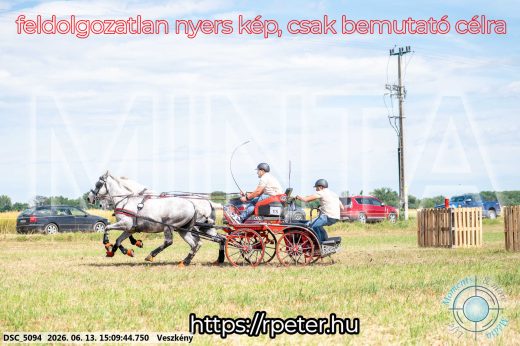 Mintakép 20260613-162