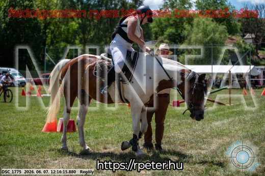Mintakép 20260607-57