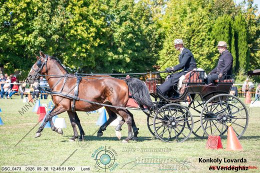 20260926-124651-DSC_0473.jpg