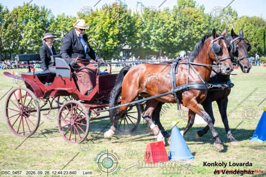 Mintakép 20260926-102