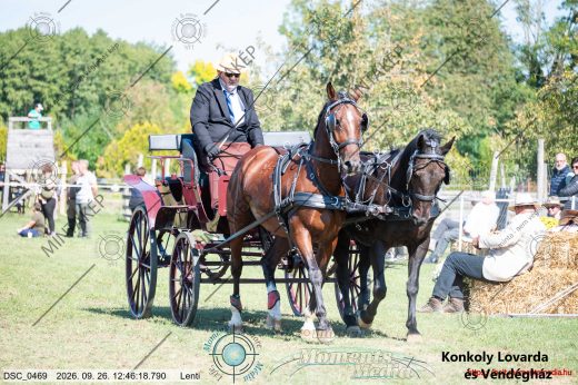 Mintakép 20260926-106