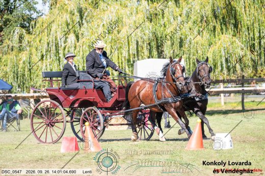 Mintakép 20260926-108