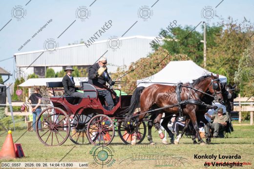 Mintakép 20260926-116