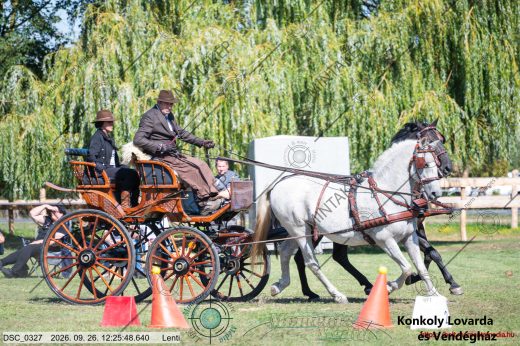 20260926-122548-DSC_0327.jpg
