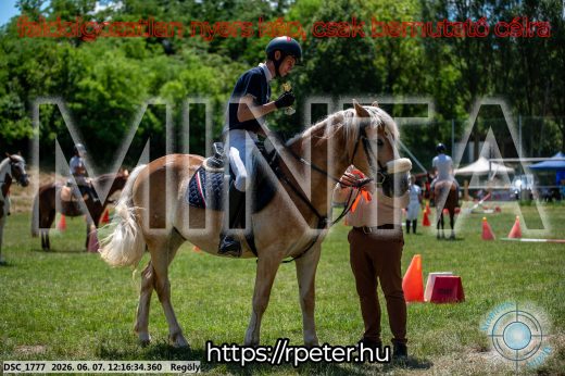 Mintakép 20260607-63