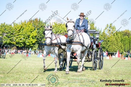 Mintakép 20260926-141